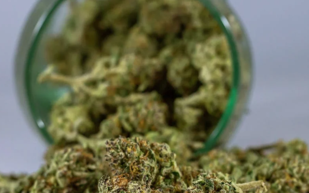 Popular THCA Strains in 2026: Genetics, Terpenes, and What Makes Them Unique