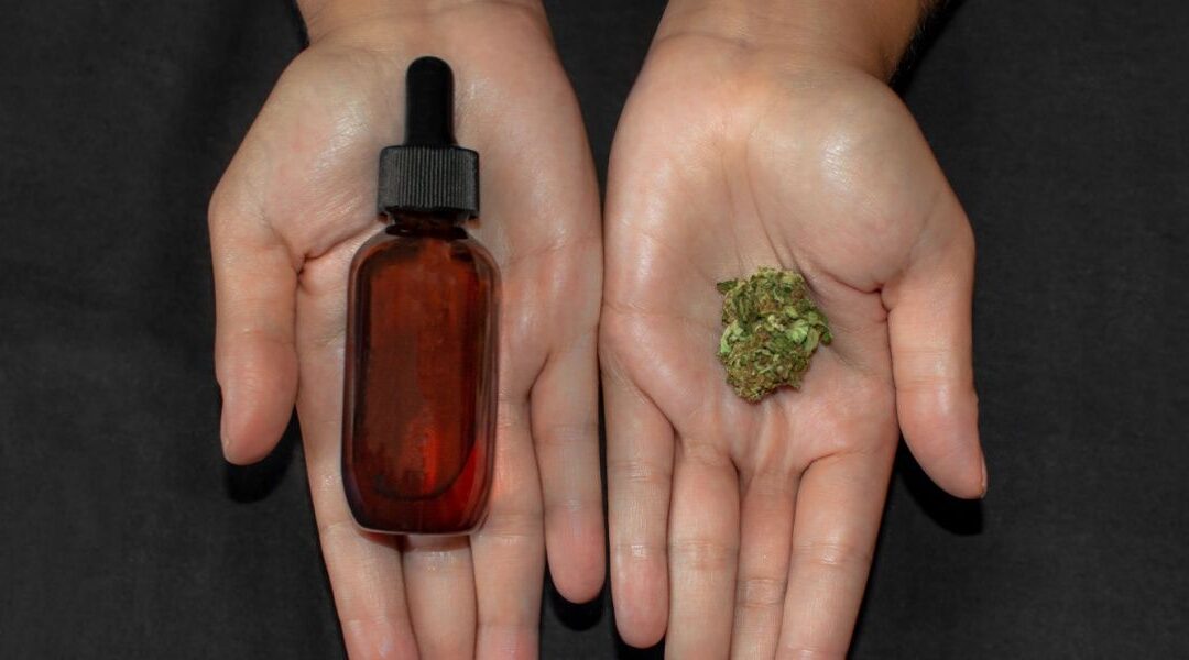 CBN vs THC: What’s the Real Difference & Which Is Right for You?