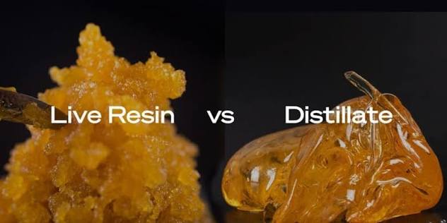 Distillate vs Extract: What’s the Difference in THC Vapes?
