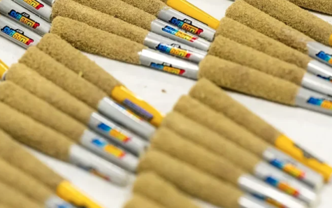 Exploring the Different Types of Pre-Rolls: The Complete Guide