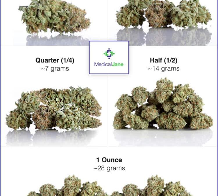 THC Flower Sizes Explained: 1g, 3.5g, 5g, 7g, 10g, 14g & 28g